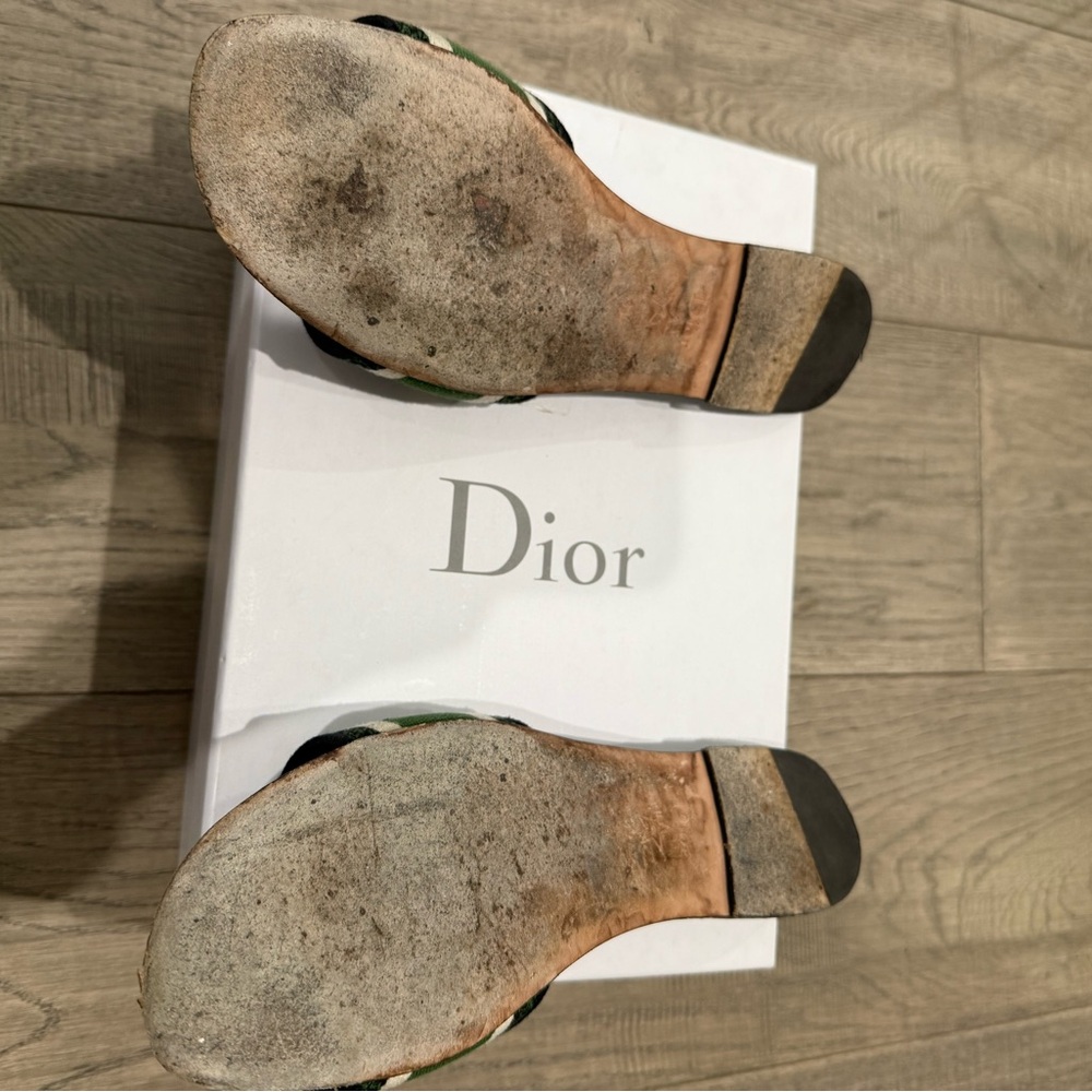 Dior Dway Black and Green Slides